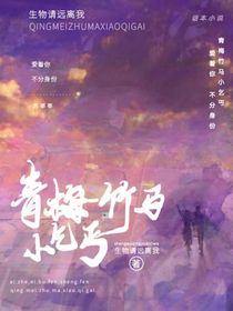 青梅竹马小乞丐
