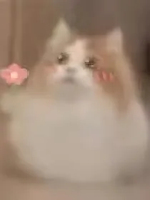正题