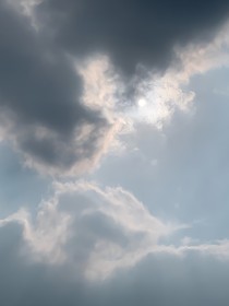 我死了之我没死