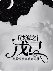 沙海之戊己