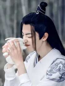 陈情令：只想摆烂