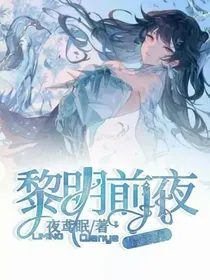 黎明前夜设定集-d615