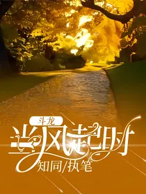 斗龙：当风起时