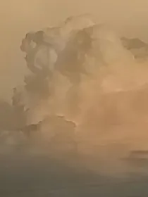 我的主刀医生