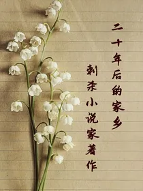 二十年后的家乡之规则怪谈