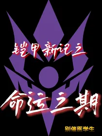 铠甲新记之命运之期