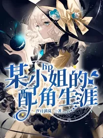 HP：某小姐的配角生涯
