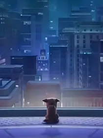 汪汪队之孤奇历险