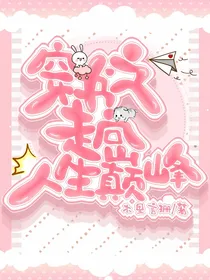 穿书之走向人生巅峰