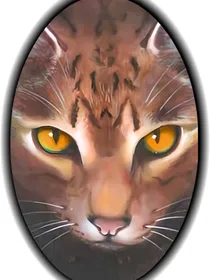 猫武士（自编）首部曲第一本云雾迷蒙