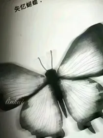 遇见你爱意汹涌看世间万物都浪漫心动