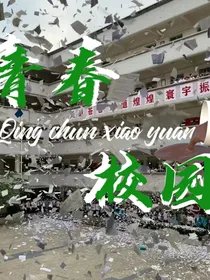 TF家族三代：青春校园
