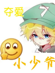 夺爱小少爷
