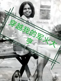 穿越我的军火大亨