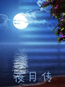 信息网：夜月传