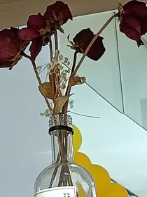 恋落