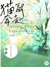 猫鼠奔赴