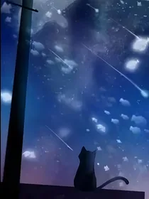 TNT：你若星辰我若海