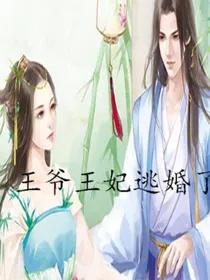 王爷王妃逃婚了