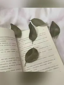 斗龙战士之小熠的救赎