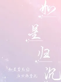 如星归沉