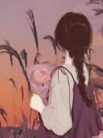 诺兰逆袭记