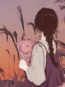 诺兰逆袭记