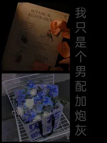 我是个男配加炮灰