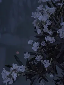无规则设定