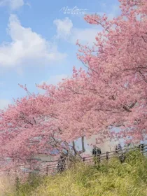 穿越时空：寻找前世之旅