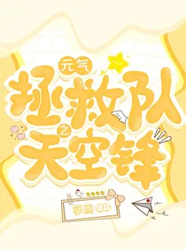 元气拯救队之天空锋
