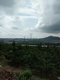 玄学大佬又爆红了
