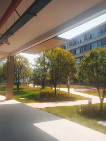 我的青春和他的未来