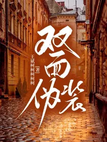 双面伪装
