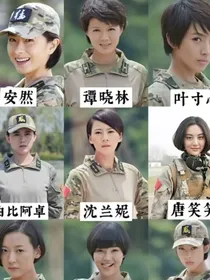 特种兵之火凤凰二