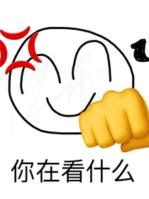 一些乱七八糟的怪玩意儿
