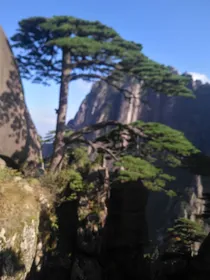 奇妙大营救续编（作者原创）
