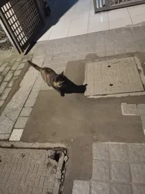离卿之殇