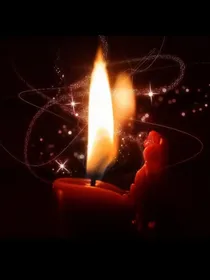 单纯的聊天