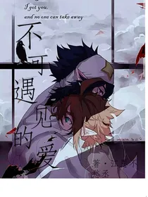 不可遇见的爱