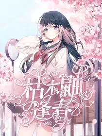 火影：枯木鼬逢春