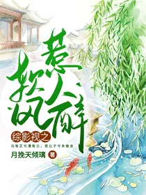 综影视之软风惹人醉