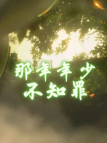 那年年少不知罪