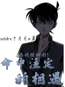 名侦探柯南：命中注定的相遇