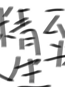 精致人生