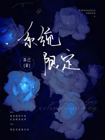 系统限定