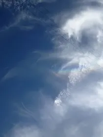 悲伤不言的爱