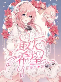 斗龙战：最后的希望