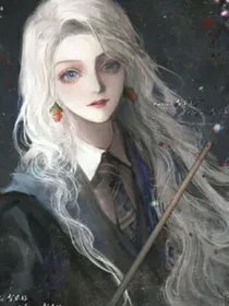 成为哈利波特的妹妹？