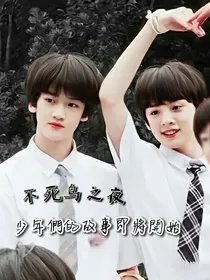 TF家族：不死鸟之夜